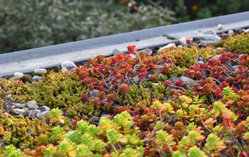 the cost of Levington green roof installation