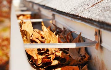 Levington gutter cleaning companies