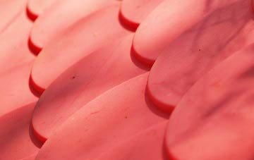 Levington plastic roof costs