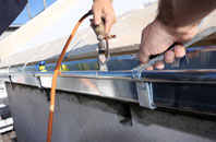 free Levington fascia quotes